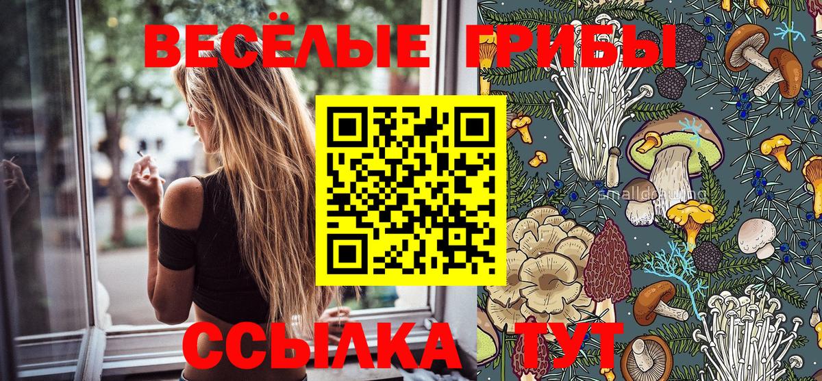 Ноябрьск  Псилоцибиновые грибы MAGIC MUSHROOMS  наркотики  Галлюциногенные грибы ЛСД  Вход с VPN 