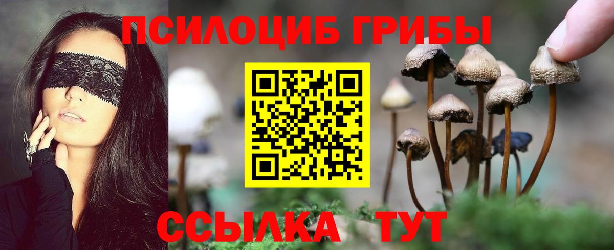 Галлюциногенные грибы Cubensis Ноябрьск